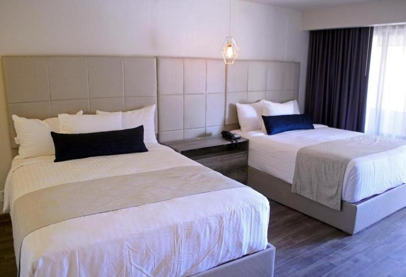 غرفة بريميوم, Sunio City