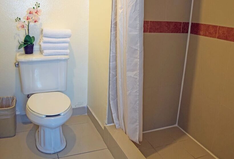 غرفة بريميوم, Sunio City