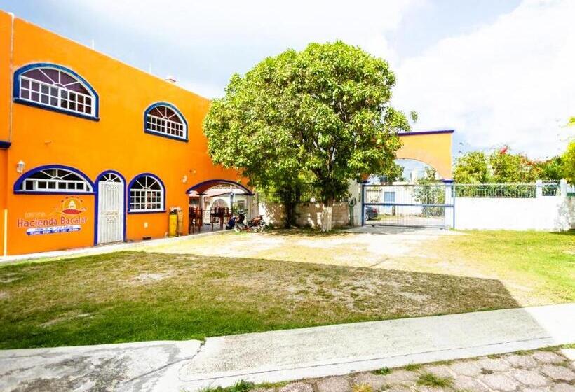 חדר משפחתי, Hacienda Bacalar