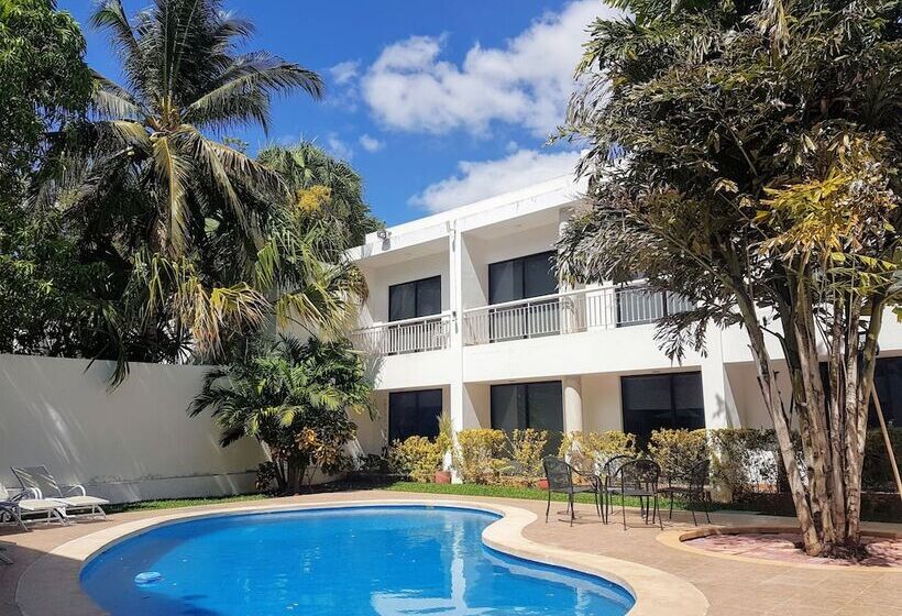 اتاق استاندارد با 2 تخت دوبل, Holly