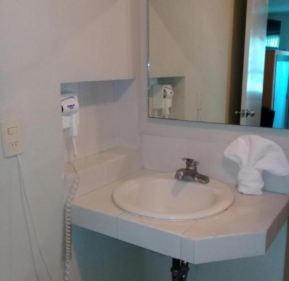 Habitació Estàndard, Howard Johnson Leon Avenida