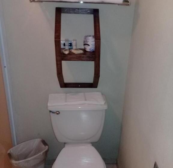 اتاق استاندارد با تخت بزرگ, Howard Johnson Leon Avenida