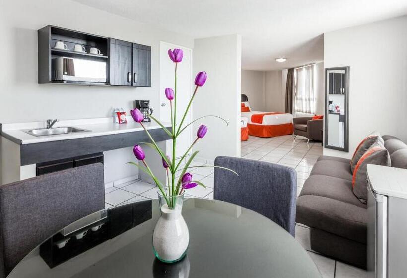 سوییت جونیور, Howard Johnson Leon Avenida