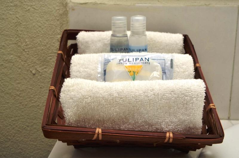 Suite, Howard Johnson Leon Avenida