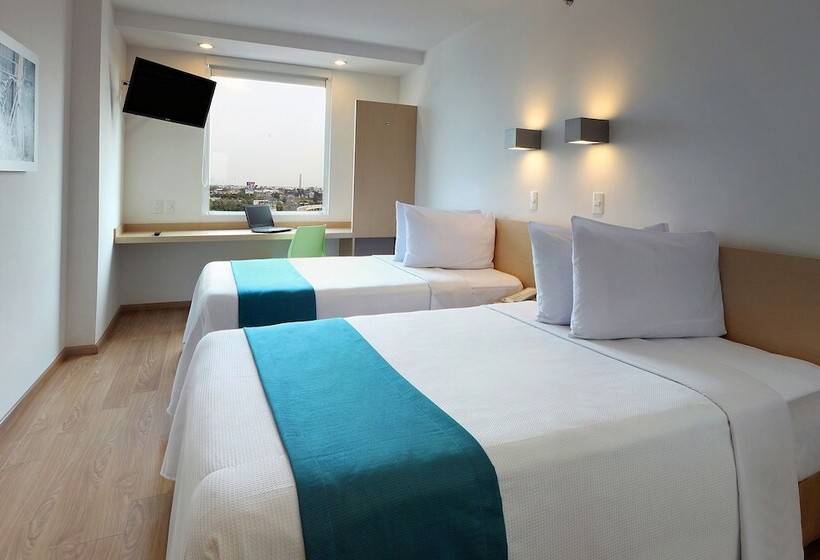 高级大房间, One Leon Poliforum