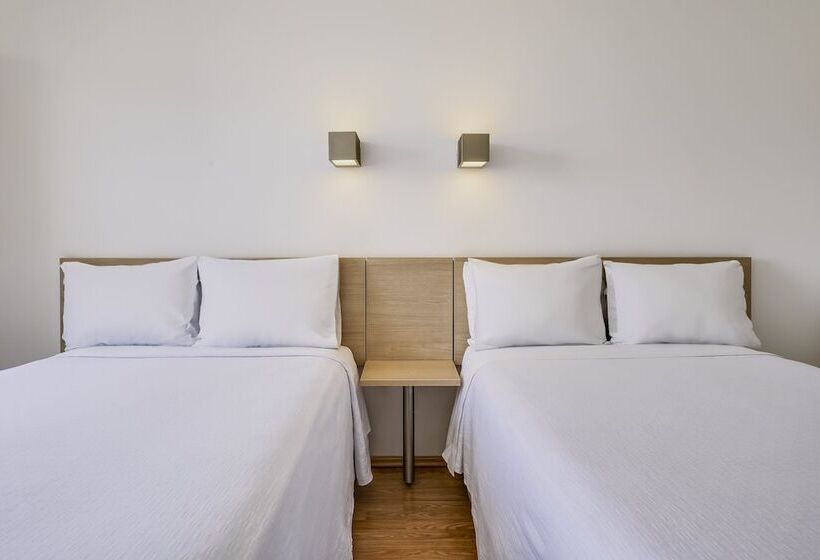 高级大房间, One Leon Poliforum