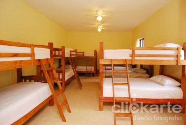 Lit en Chambre Commune, Olga Querida B&b Hostal