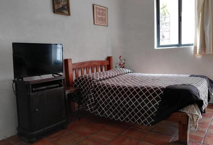 Номер Стандарт, Olga Querida B&b Hostal