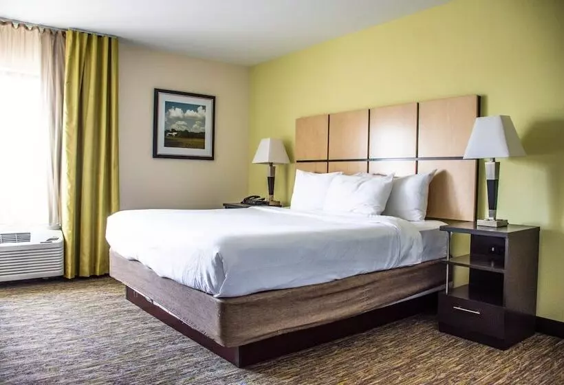 キングサイズベッドのスイートルーム, Candlewood Suites Overland Park W 135th St, An Ihg