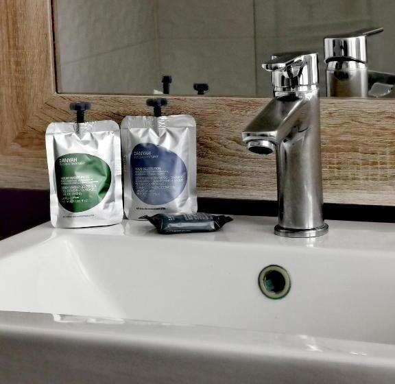 חדר סטנדרט, Grand Hôtel Brive