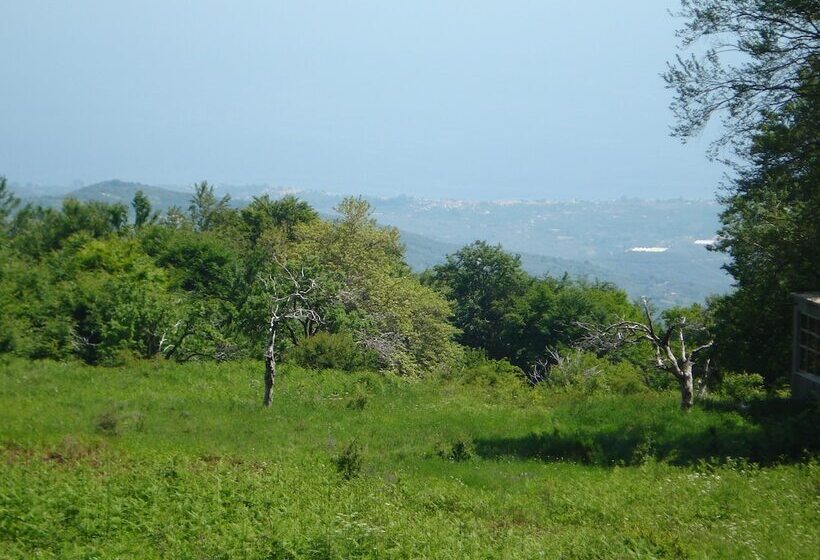 חדר סטנדרט נוף לים, Hani Zisi