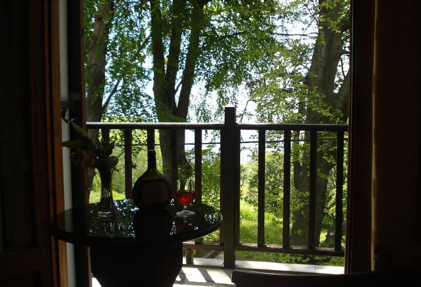 חדר סטנדרט נוף לים, Hani Zisi