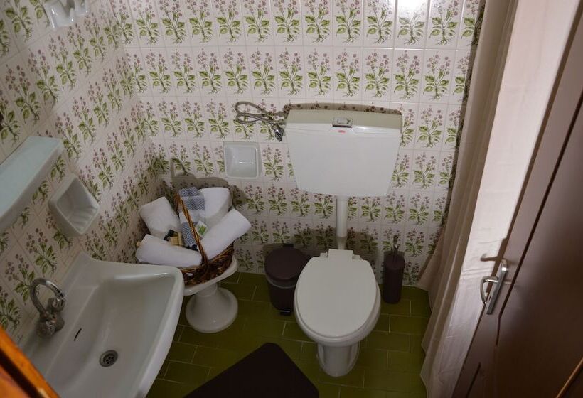 חדר סטנדרט לשלושה, Hani Zisi