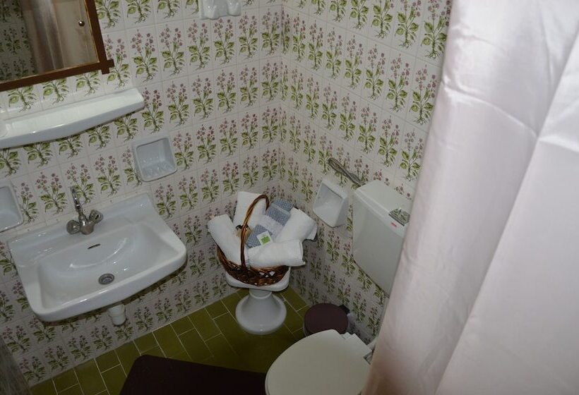 חדר סטנדרט לשלושה, Hani Zisi