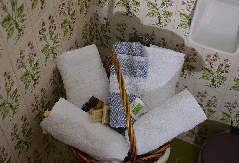 חדר סטנדרט לשלושה, Hani Zisi