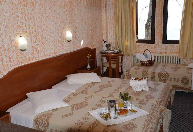 חדר סטנדרט לשלושה, Hani Zisi