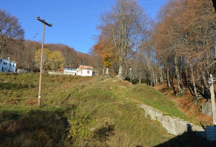 חדר אקונומי, Hani Zisi