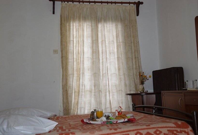 חדר אקונומי, Hani Zisi