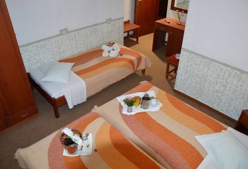 חדר סטנדרט לשלושה, Hani Zisi