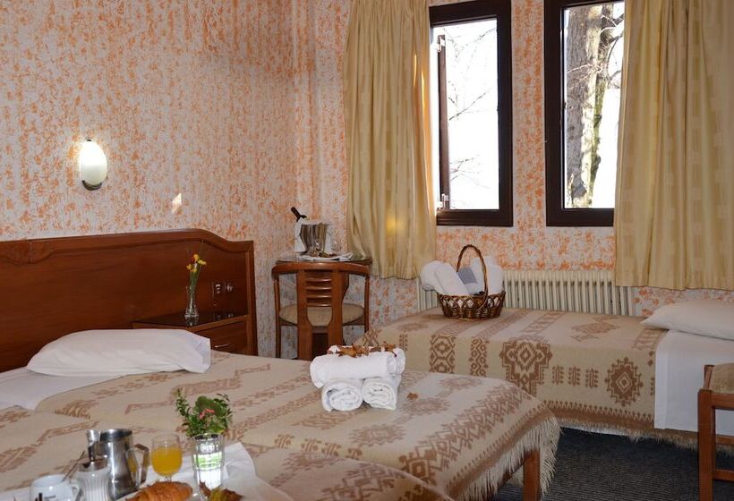 חדר סטנדרט לשלושה, Hani Zisi