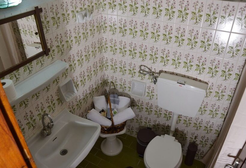 חדר אקונומי, Hani Zisi