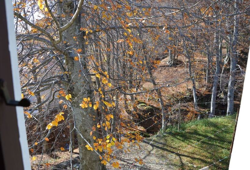 חדר אקונומי, Hani Zisi