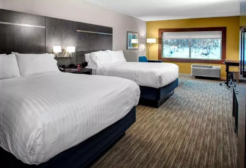 スタンダードルーム, Holiday Inn Express & Suites Coldwater, An Ihg