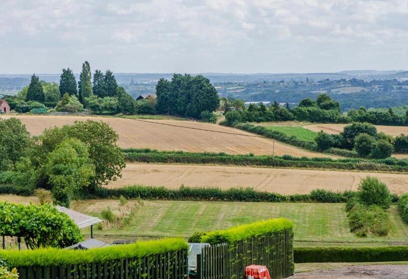 带大床的豪华间, The Rodney