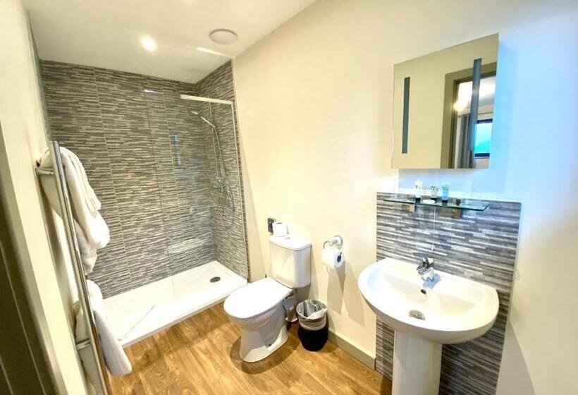 带大床的标准间, The Rodney