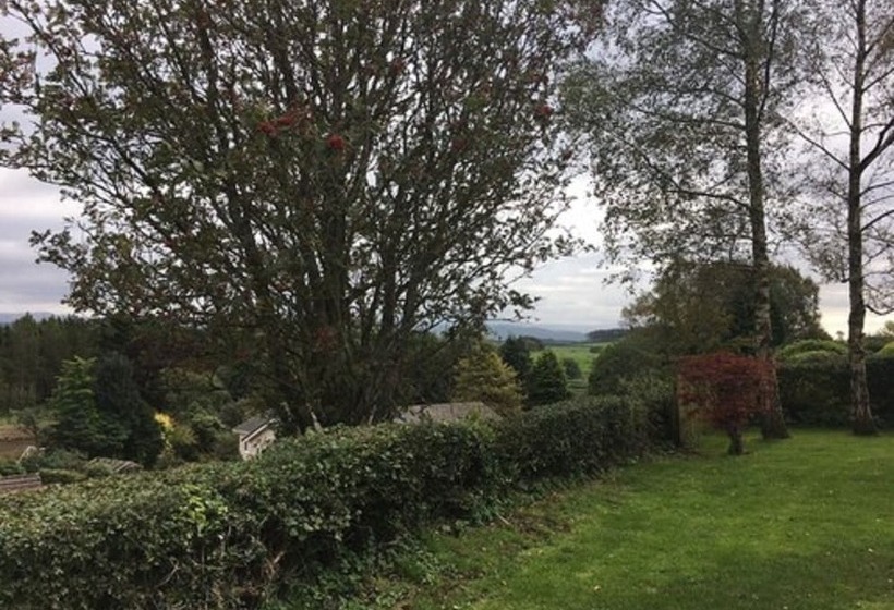 Семейный Номер, The Kellbank