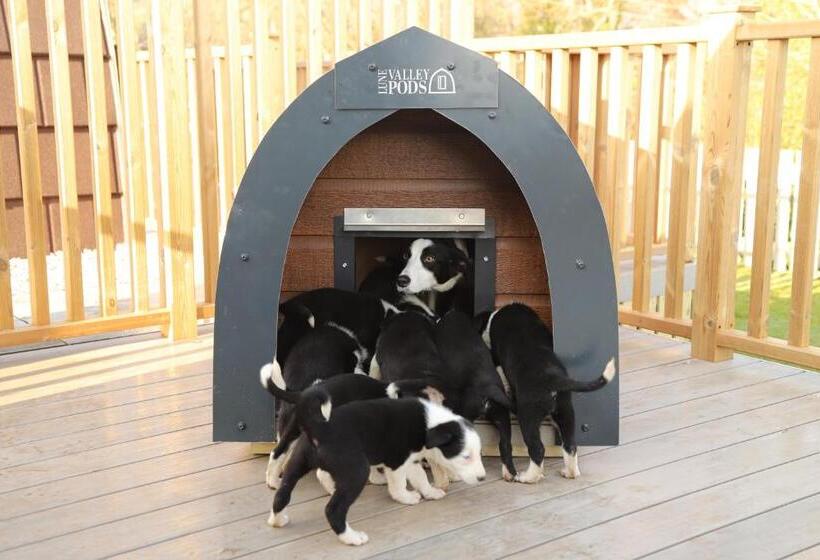 Шале 1 Спальня, The Kellbank