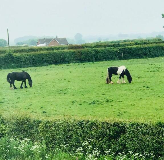 غرفة قياسية مطلّة علي الحديقة, The Railway Inn