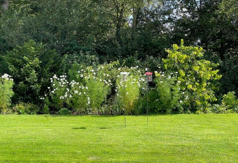 キングサイズベッドのスタンダードルーム, White Lodge B&b