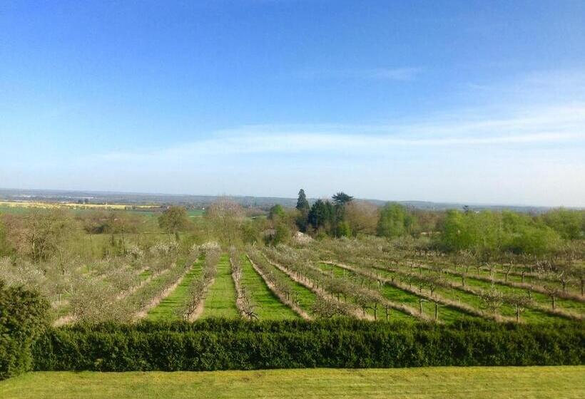 スイート, Shakespeare's View