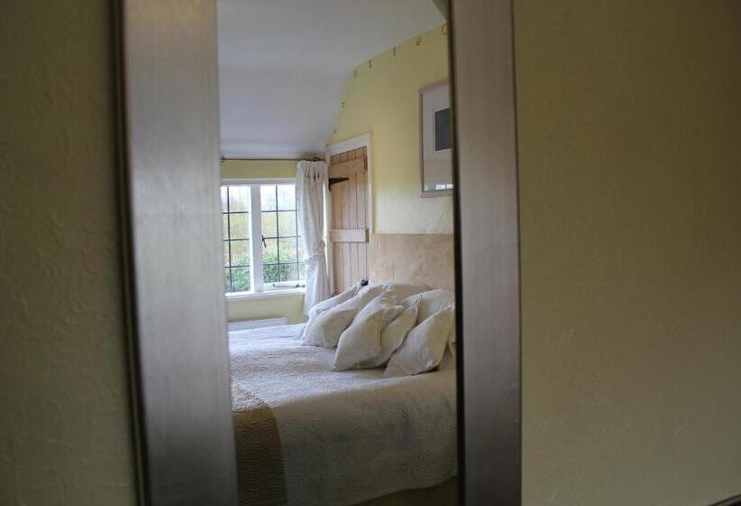 スタンダードルーム, Shakespeare's View