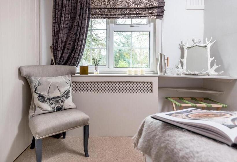 اتاق لوکس با تخت بزرگ, Crazy Fox Hurley Boutique B&b