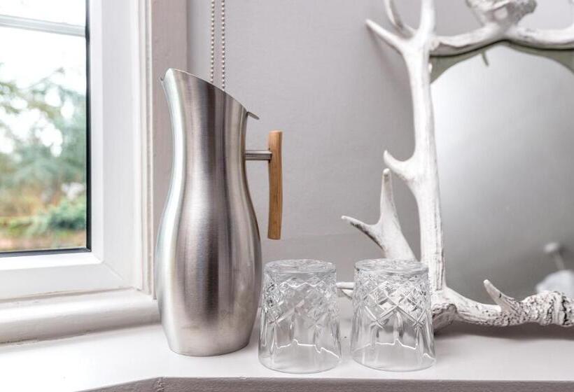 חדר דחוקס עם מיטת קינג, Crazy Fox Hurley Boutique B&b