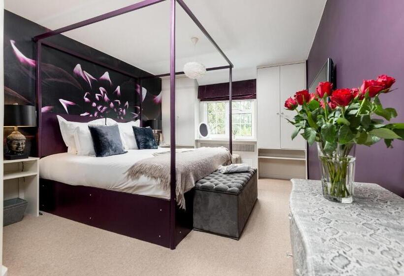 חדר אקזקיוטיב, Crazy Fox Hurley Boutique B&b