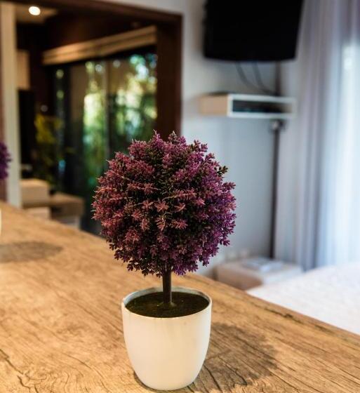 オーシャンビューデラックスルーム, Morada Prainha