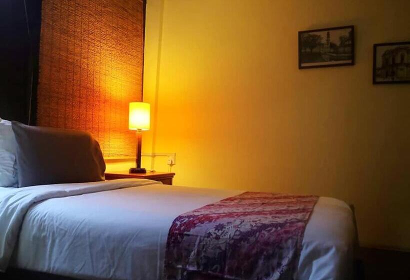 غرفة ديلوكس فردية, Cintra House