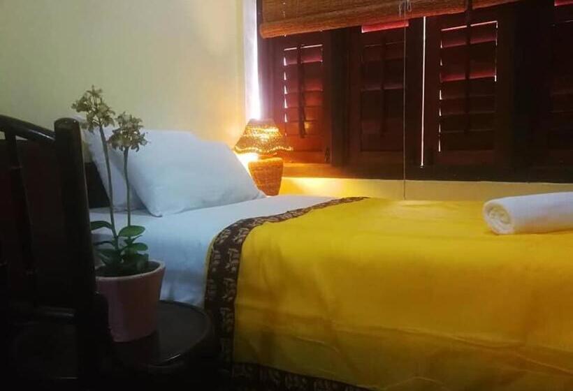 Номер Deluxe Одноместный, Cintra House