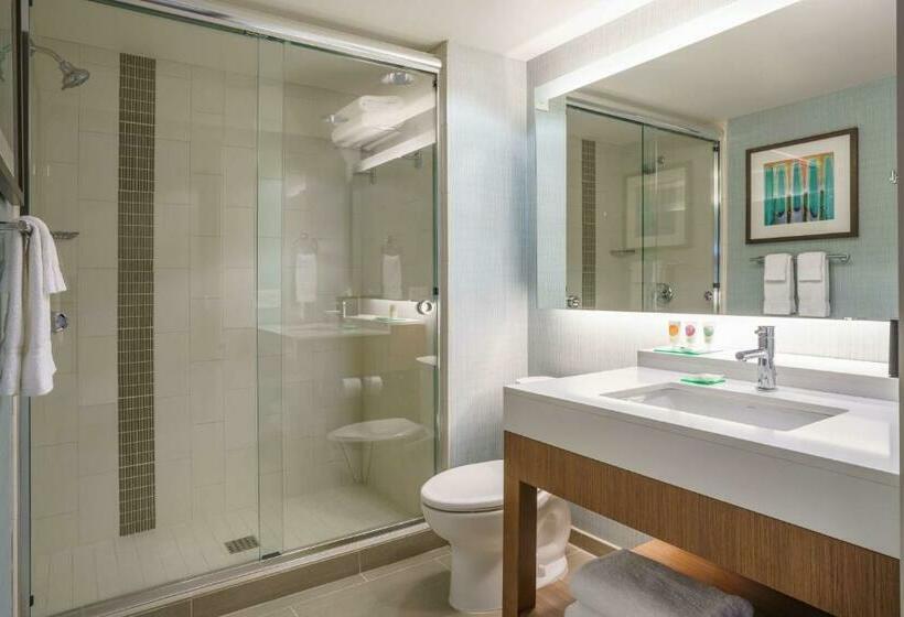 Стандартный Номер Кровать Кинг, Hyatt Place Houston Galleria