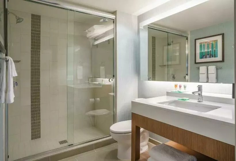上層階スタンダードルーム, Hyatt Place Houston Galleria