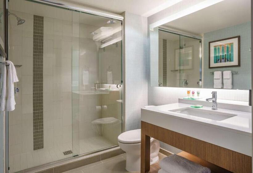 Номер Стандарт Верхний Этаж, Hyatt Place Houston Galleria