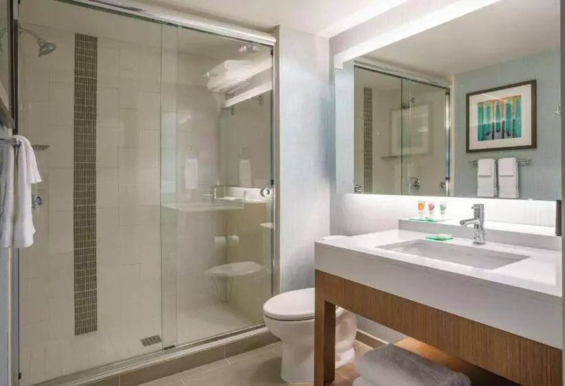 上層階スタンダードルーム, Hyatt Place Houston Galleria