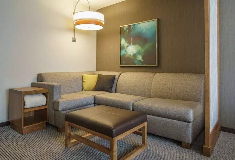 スタンダードルーム, Hyatt Place Houston Galleria