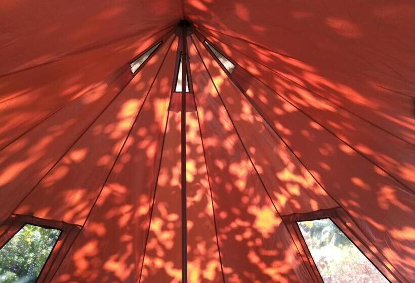 كوخ قياسي, Cashew Nut Bungalow, Ko Mook