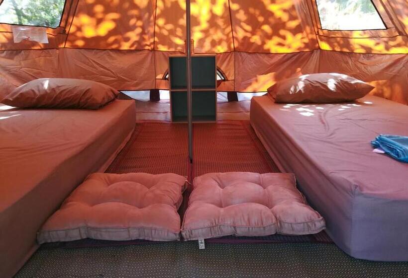 Standard Tent, Cashew Nut Bungalow, Ko Mook