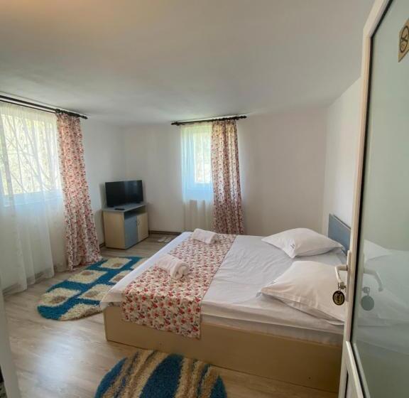 Номер Стандарт, Pensiunea Mary