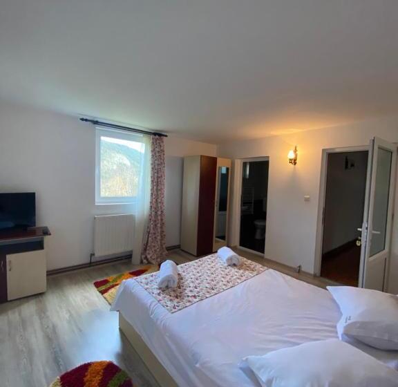 Номер Стандарт, Pensiunea Mary